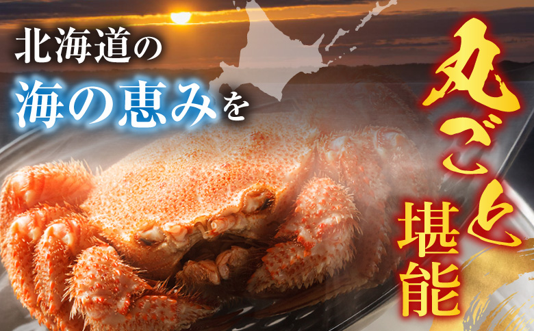 ボイル毛がに540～650g×1尾 B-11120