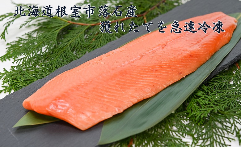 【北海道根室産】さくらますルイベ(刺身用)半身×4枚(計1.2～1.5kg) B-20003