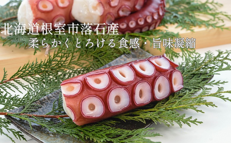 【北海道根室産】ボイル水たこ足ブロック3P(計1.5kg) B-20007