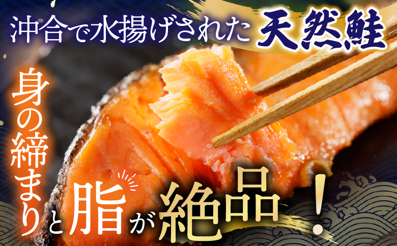 根室海鮮市場＜直送＞天然沖獲れ鮭1切×10P(約1kg) B-28060