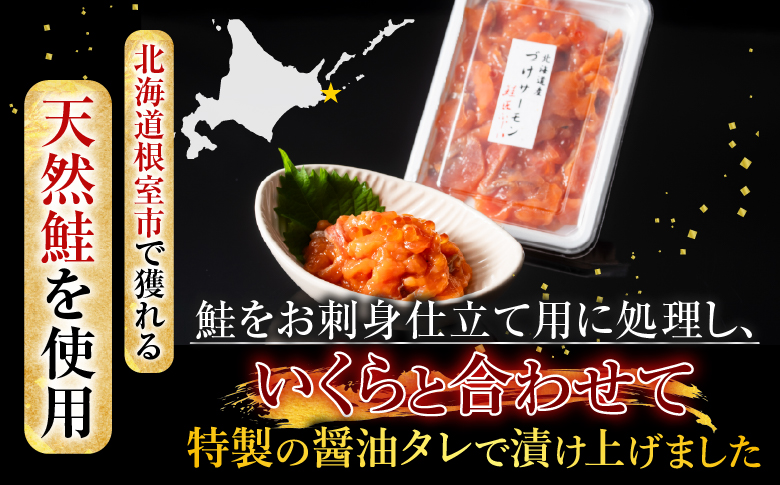 ＜12月21日決済分まで年内配送＞【北海道根室産】＜鮭匠ふじい＞漬けサーモン丼の具14P B-42026