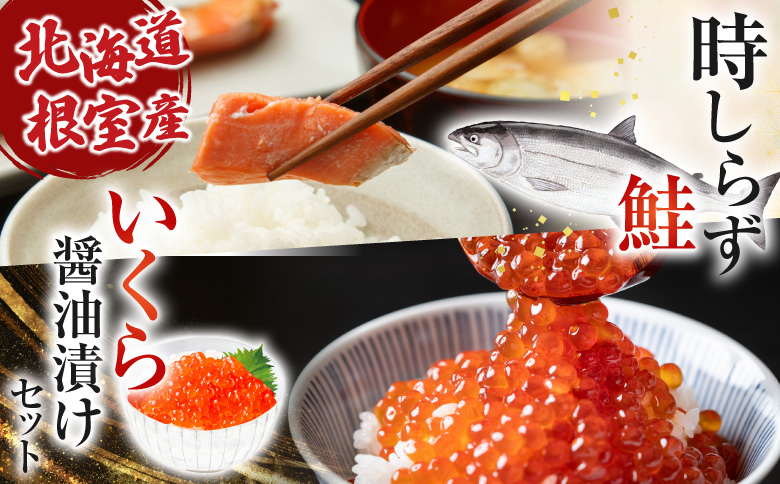 【北海道根室産】時しらず鮭600g×1P・いくら醤油漬け50g×2P B-42106