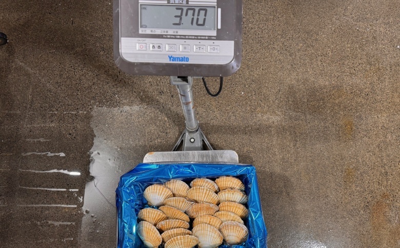 ＜12月21日決済分まで年内配送＞【北海道根室産】活ホタテ貝20枚(計3.5kg～4kg) B-45016