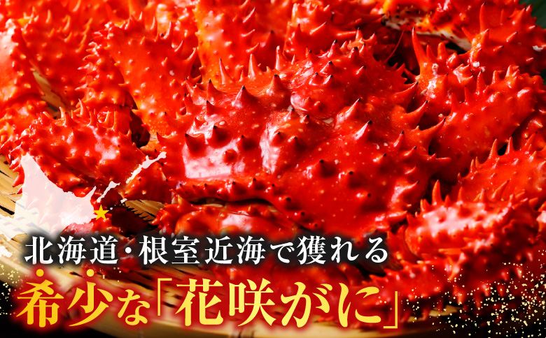 ＜12月21日決済分まで年内配送＞【北海道根室産】花咲がに甲羅詰め5個 B-54003