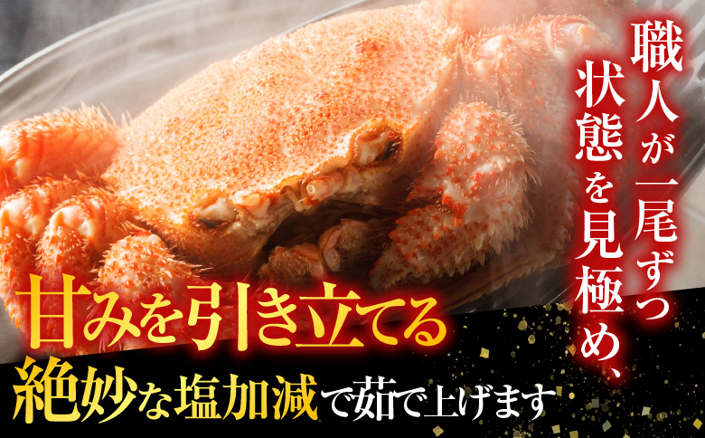 ＜12月21日決済分まで年内配送＞毛かに400g前後～550g前後×1尾 B-70021