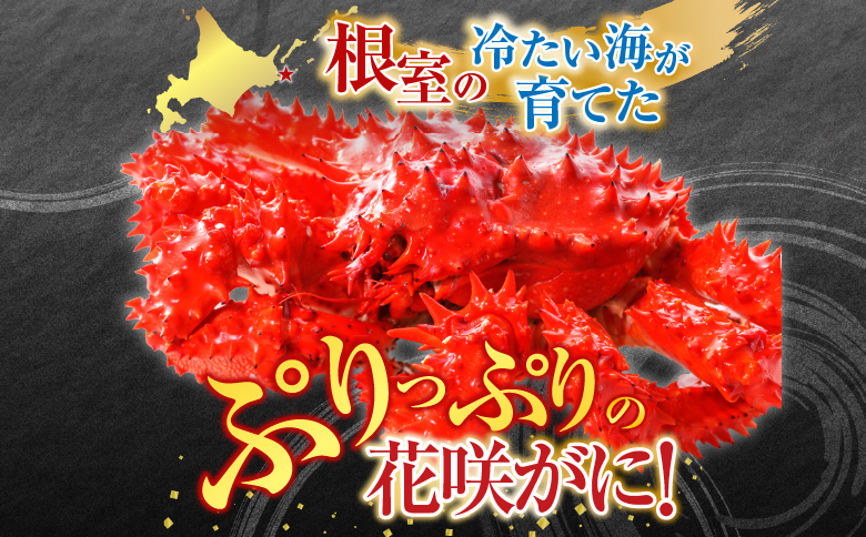 【北海道根室産】花咲かに500g前後～650g前後×2尾 B-76028