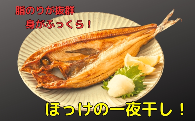 ＜12月21日決済分まで年内配送＞ほっけ一夜干し1枚×7P、さんま明太3P B-83007