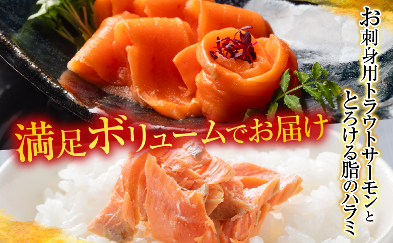 お刺身トラウトサーモン＆とろサーモンハラミセット C-09004