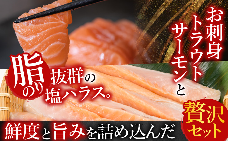 お刺身トラウトサーモン1.5kg＆塩サーモンハラス2.2kg C-09015