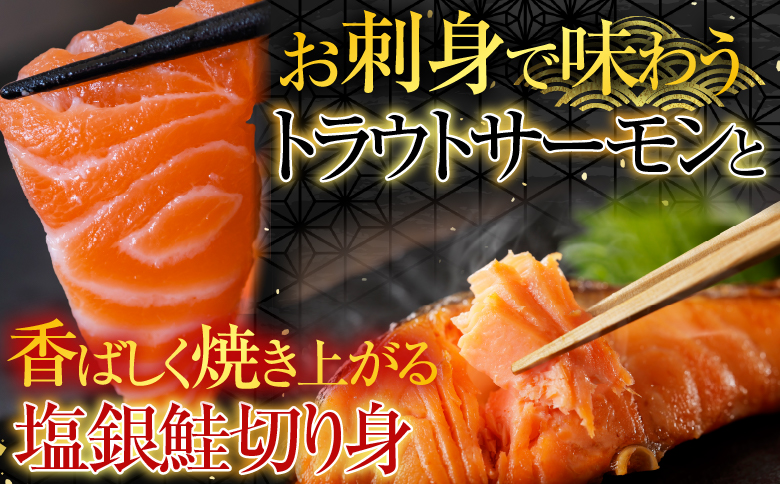 お刺身トラウトサーモン2～5本(計1kg)＆塩銀鮭切り身1切(約70g)×25P C-09045