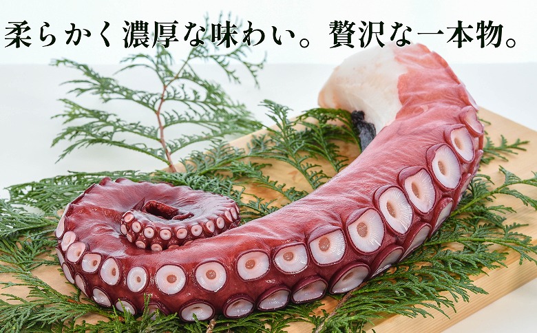 ＜12月14日決済分まで年内配送＞【北海道根室産】ボイル水たこ足2本(計2kg) C-20003