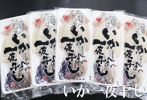 ＜12月17日決済分まで年内配送＞いか一夜干し2枚×8P C-32022