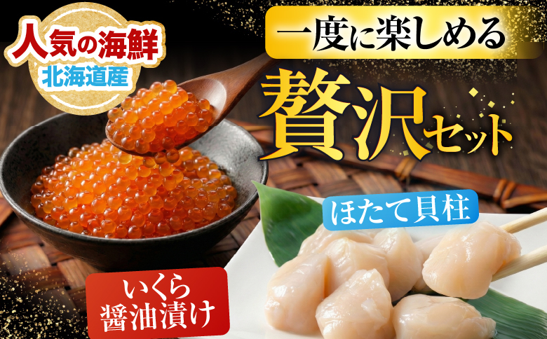 いくら醤油漬け100g×2P、ほたて貝柱500g×1P C-36041