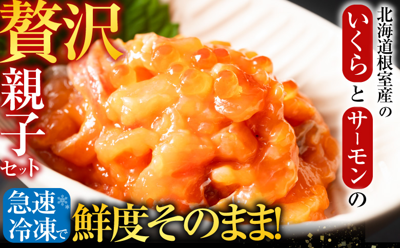 【北海道根室産】<鮭匠ふじい>いくら・サーモン親子丼の具 C-42012