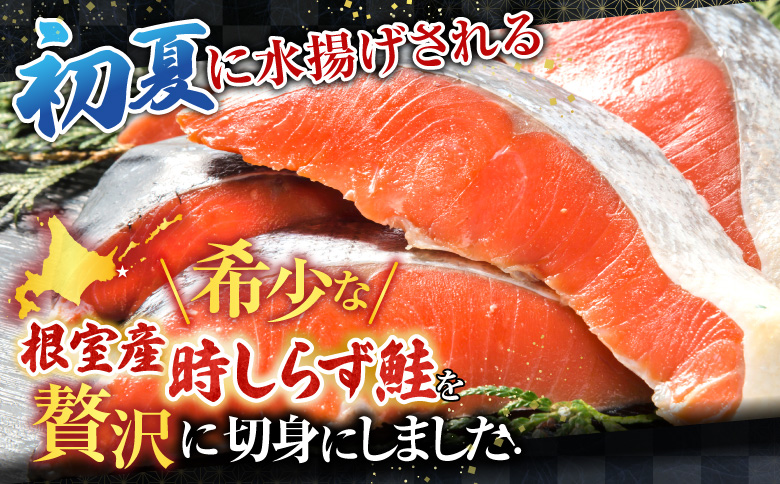 【北海道根室産】時しらず鮭切身600g×2P C-42100
