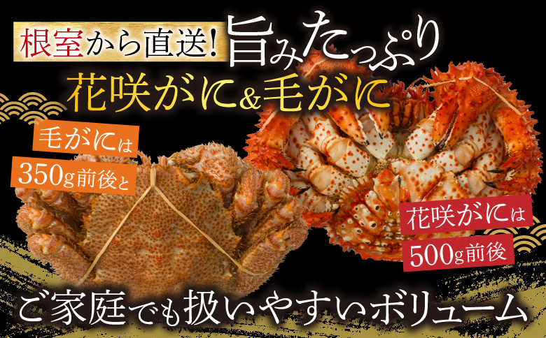 ＜12月21日決済分まで年内配送＞花咲がに500g前後×2尾と毛がに350g前後×2尾セット C-54005
