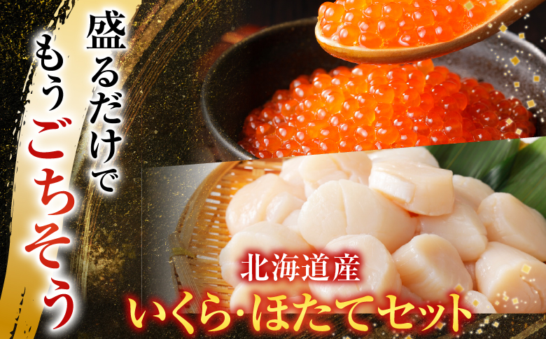 いくら醤油漬け100g×2P、ほたて貝柱500g×1P C-70041