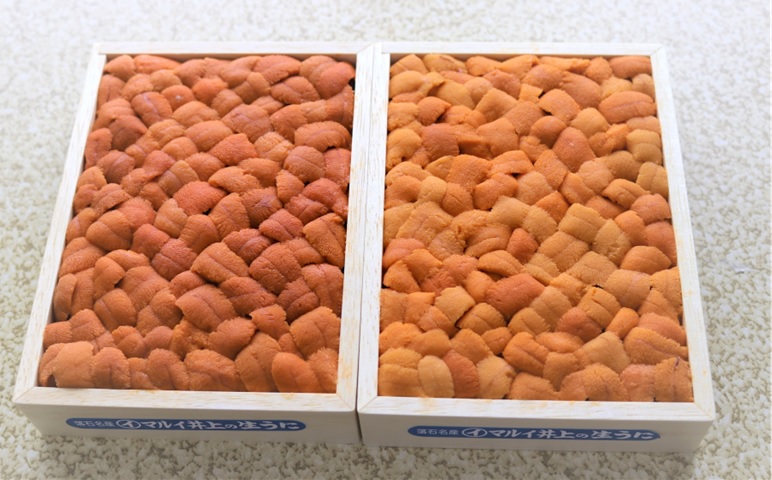 エゾバフンウニバラ詰め(赤系)約250g×1折[2026年3月上旬以降発送] C-71028