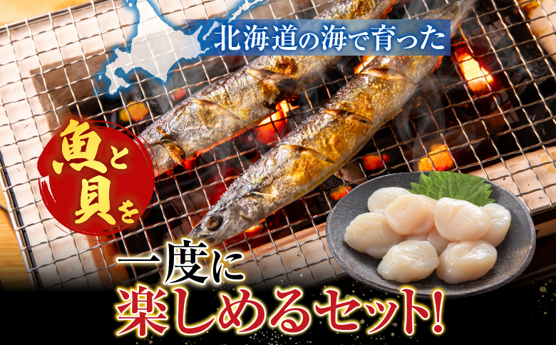 冷凍さんま5尾×5P、ほたて貝柱200g×2P C-76030