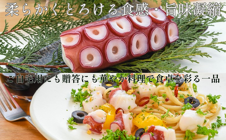 ＜12月14日決済分まで年内配送＞【北海道根室産】ボイル水たこ足ブロック500g×4P、スライス150g×4P D-20006