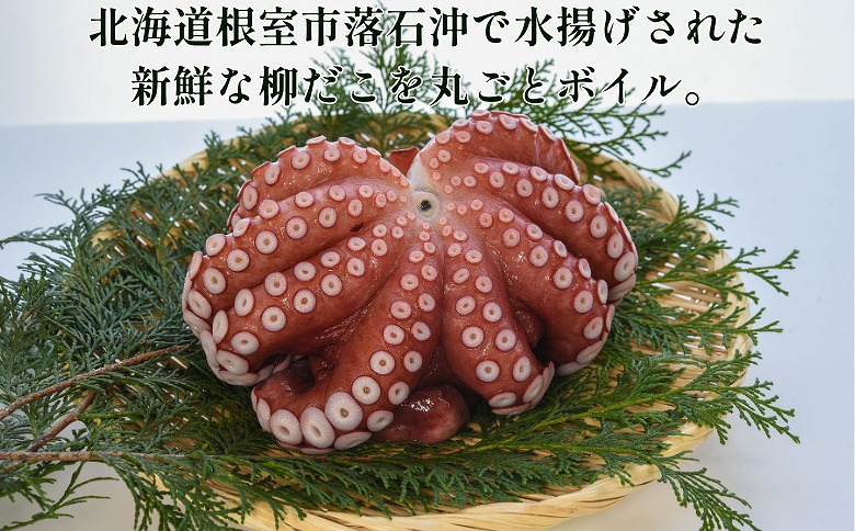 ＜12月14日決済分まで年内配送＞【北海道根室産】柳蛸ボイル5杯(計5kg) D-20011