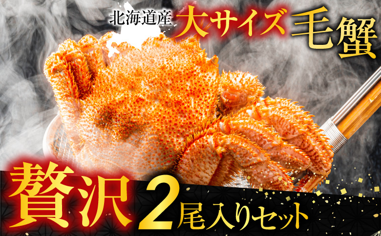 根室海鮮市場＜直送＞ボイル毛がに700～900g×2尾 D-28055