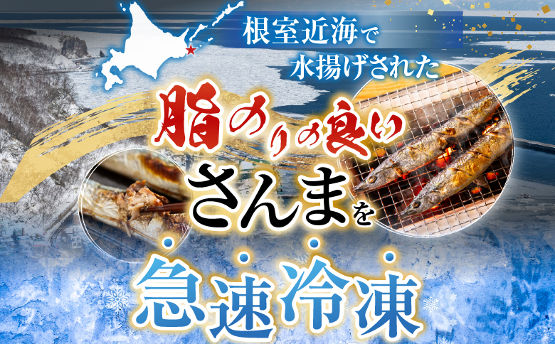 【北海道根室産】冷凍さんま60尾 D-36002