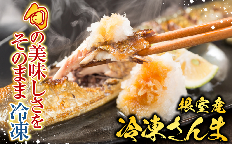 【北海道根室産】冷凍さんま5尾×12P(計60尾) D-76001