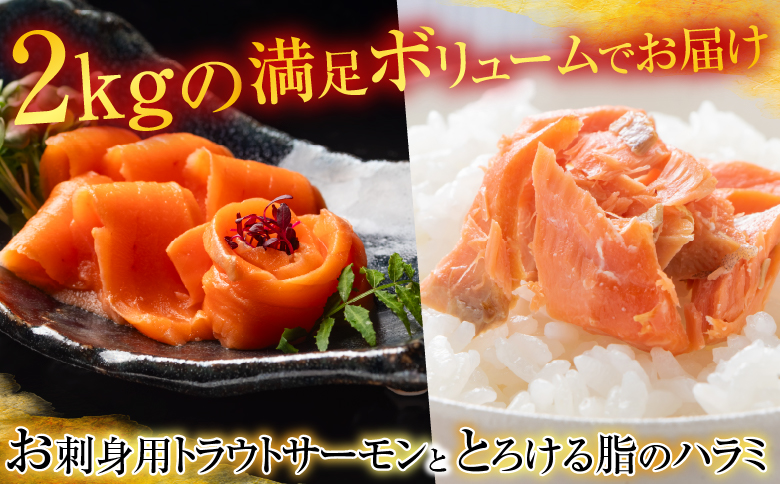 お刺身トラウトサーモン4～8本(計2kg)＆とろサーモンハラミ6～10枚(計2kg) F-09002