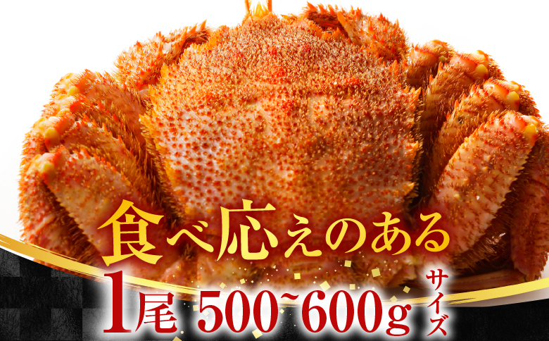 ボイル毛がに500～600g×2尾 F-11030