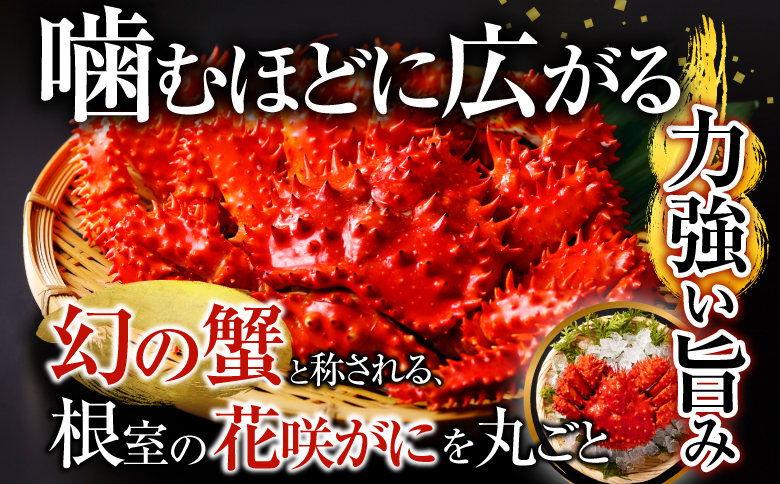 ＜12月14日決済分まで年内配送＞【北海道根室産】花咲かに700g×2尾(計1.4kg) F-20013