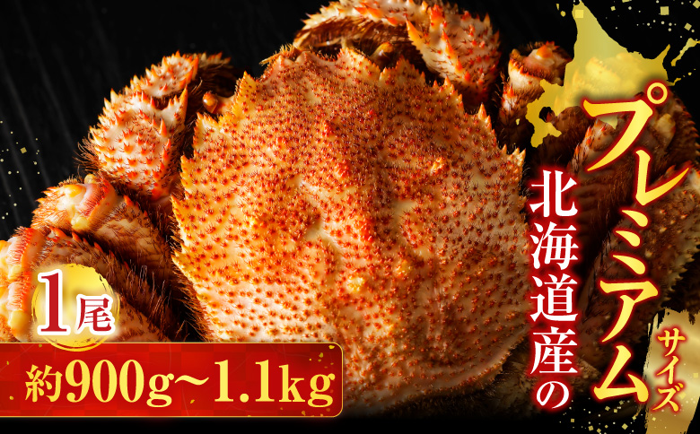 根室海鮮市場＜直送＞ボイル毛がに900g～1.1kg×1尾 F-28029