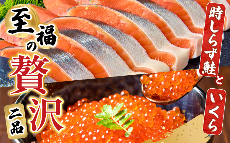 【北海道根室産】時しらず鮭1.5kg×1P・いくら醤油漬け50g×1P F-42013