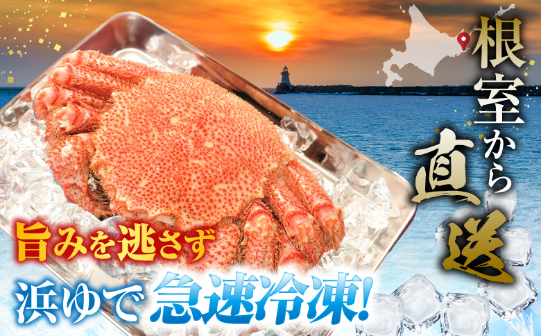 【北海道根室産】ボイル毛がに2尾(計800g) F-42016