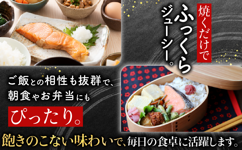 銀鮭切身1切真空×10P G-09002