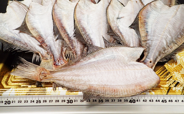 【北海道根室産】一夜干し宗八かれい12枚 G-11006