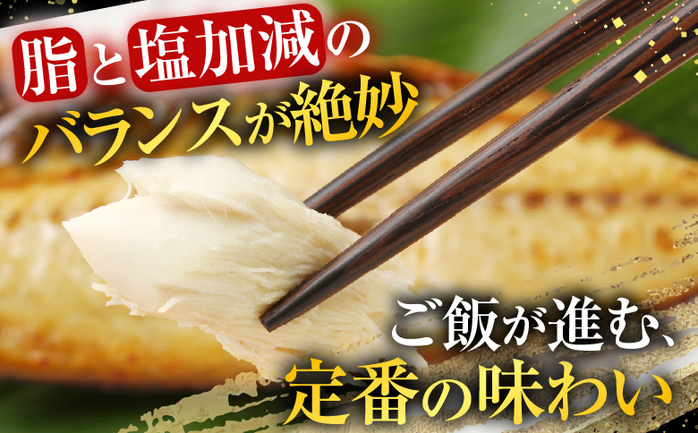 塩さばフィーレ11枚入×1P(計約1.5kg) G-14021