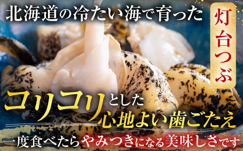 【北海道根室産】生食用灯台つぶ(ボイル済)250g×2P(計500g) G-14040