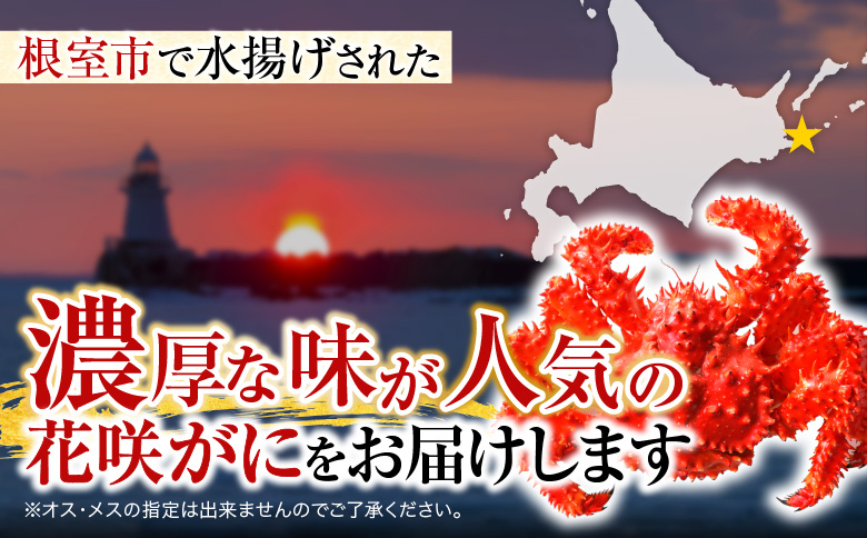 ＜12月21日決済分まで年内配送＞【北海道根室産】花咲かに350～400g×3尾 G-19001