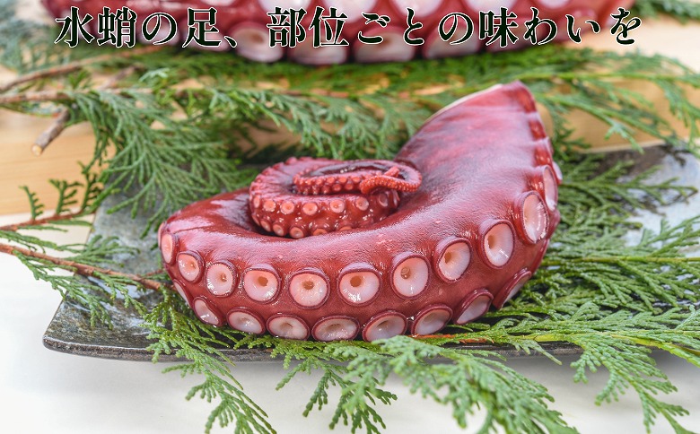 ＜12月14日決済分まで年内配送＞【北海道根室産】ボイル水たこ足先2P(計600g) G-20003