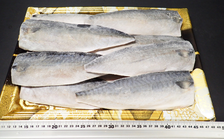 根室海鮮市場＜直送＞塩さばフィーレ11枚入×1P(計約1.5kg) G-28021