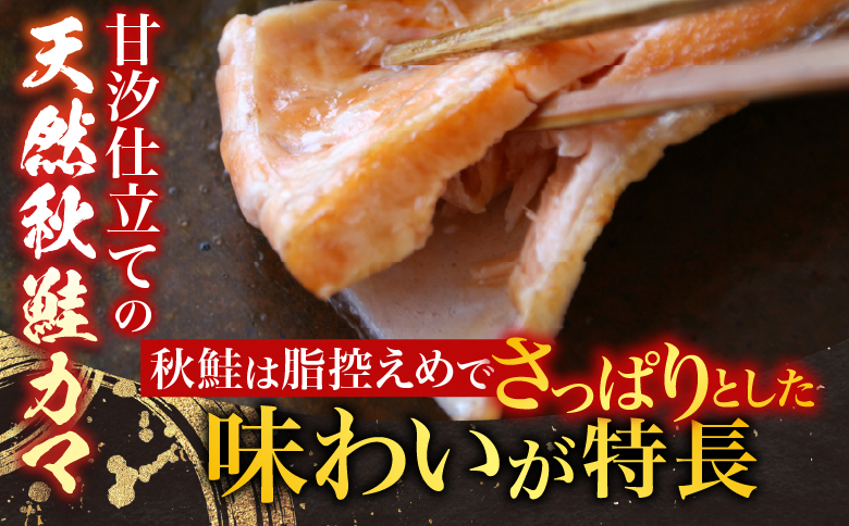 根室海鮮市場＜直送＞甘汐天然秋鮭カマ500g×3P(計1.5kg) G-28042