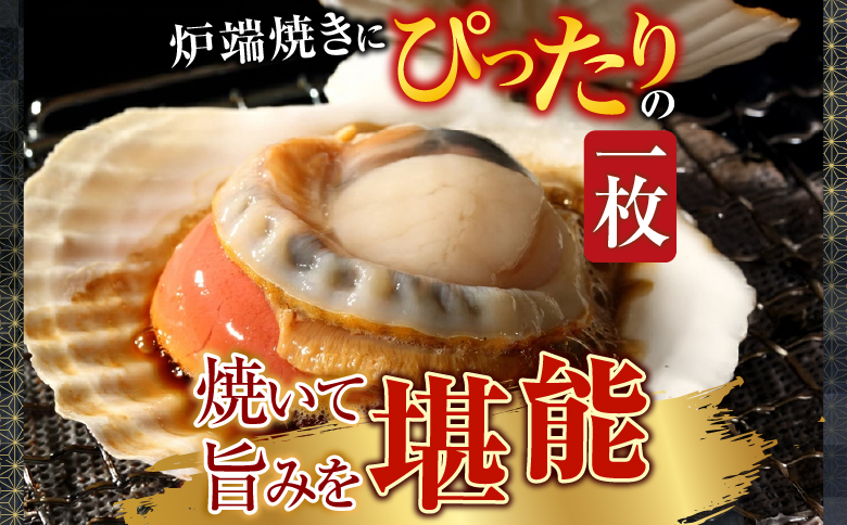 根室海鮮市場＜直送＞片貝ほたて10枚 G-28044