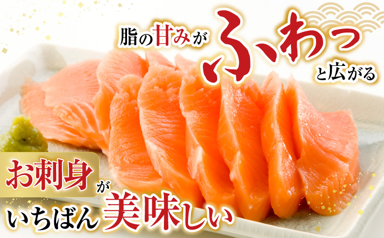 根室海鮮市場＜直送＞お刺身トラウトサーモン2P(計350～450g) G-28045