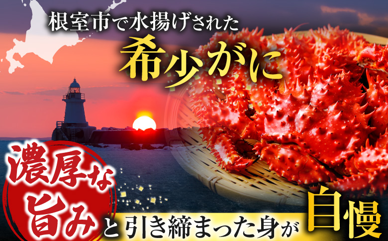 【北海道根室産】＜鮭匠ふじい＞ボイル花咲がに2尾(計約700g) G-42010