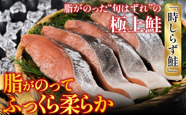 【北海道根室産】時しらず鮭切身1切×4P G-42017