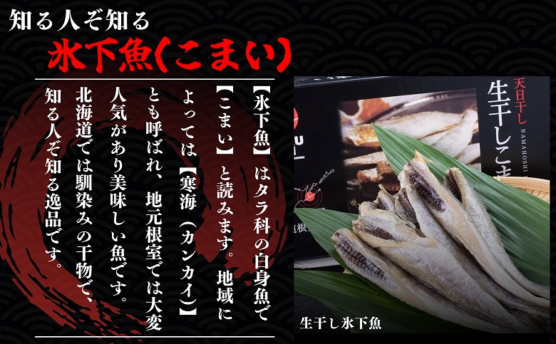 【北海道根室産】生干し氷下魚(こまい)200g×3袋 G-50027
