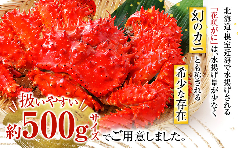 ＜12月21日決済分まで年内配送＞【北海道根室産】花咲がに500g前後×2尾 G-54002