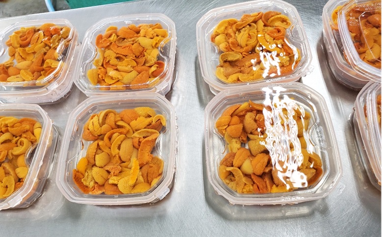 エゾバフンウニ(赤系)無添加塩水パック50～60g×1P[2026年3月上旬以降発送] G-71002