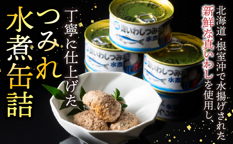 ＜12月21日決済分まで年内配送＞【北海道根室産】真いわしつみれ水煮160g×5缶 G-78009